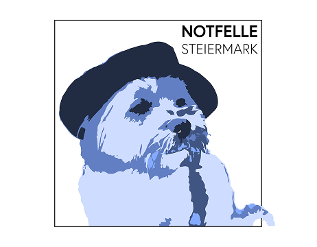 Notfelle Steiermark
